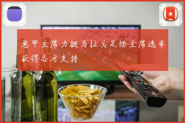意甲主席力挺马拉戈足协主席选举获得各方支持